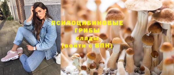 кокс Армянск